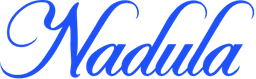 Nadula Hair logo
