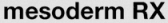 Mesodermrx.com logo