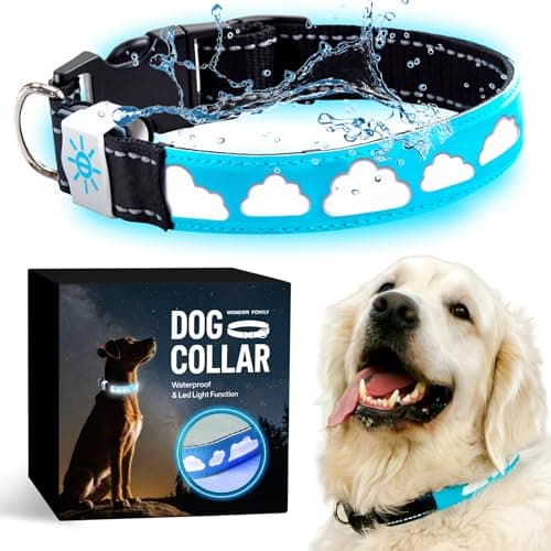 Wonder Family - Amazon Marketplace Coupon Codes & Deals