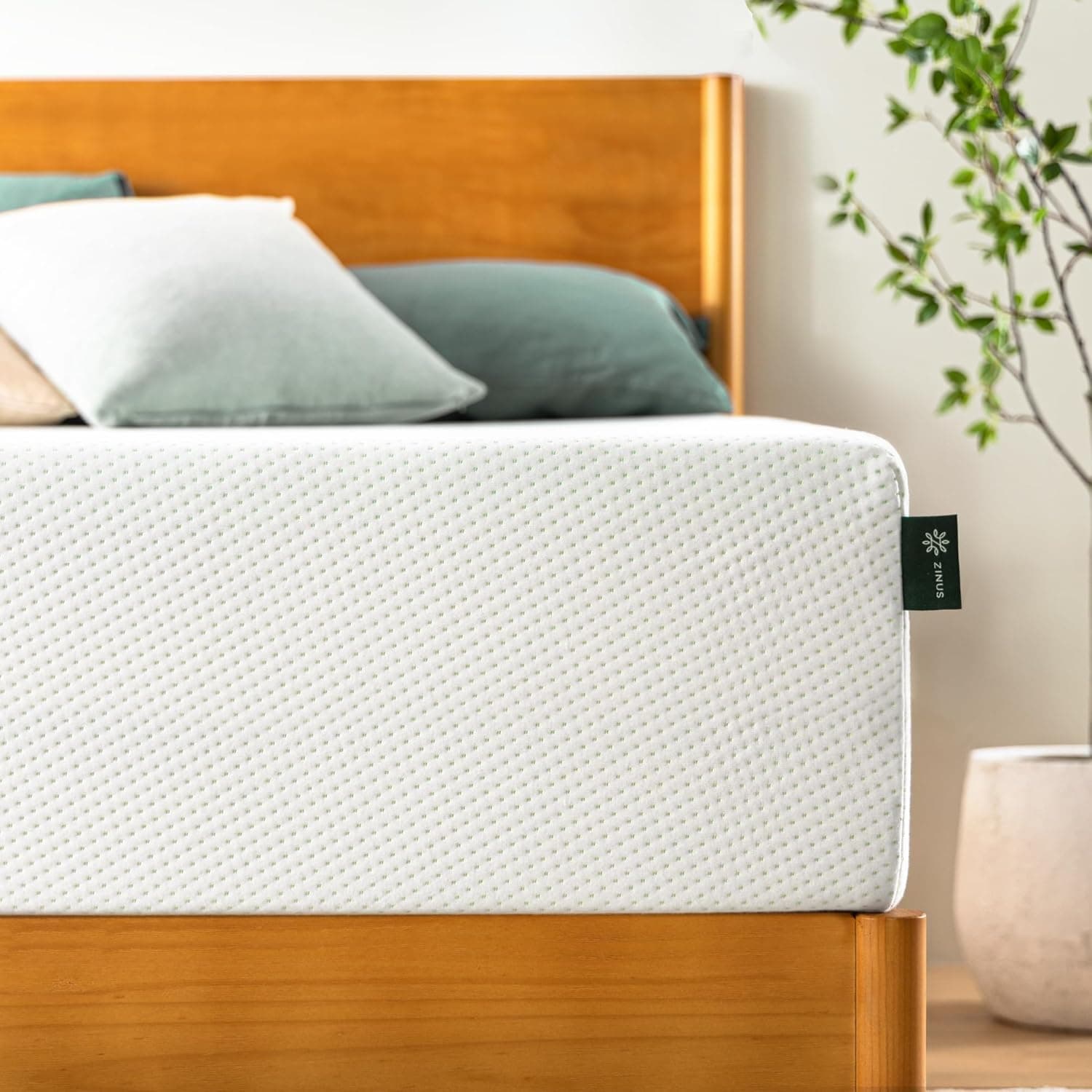 Save Big at Amazon