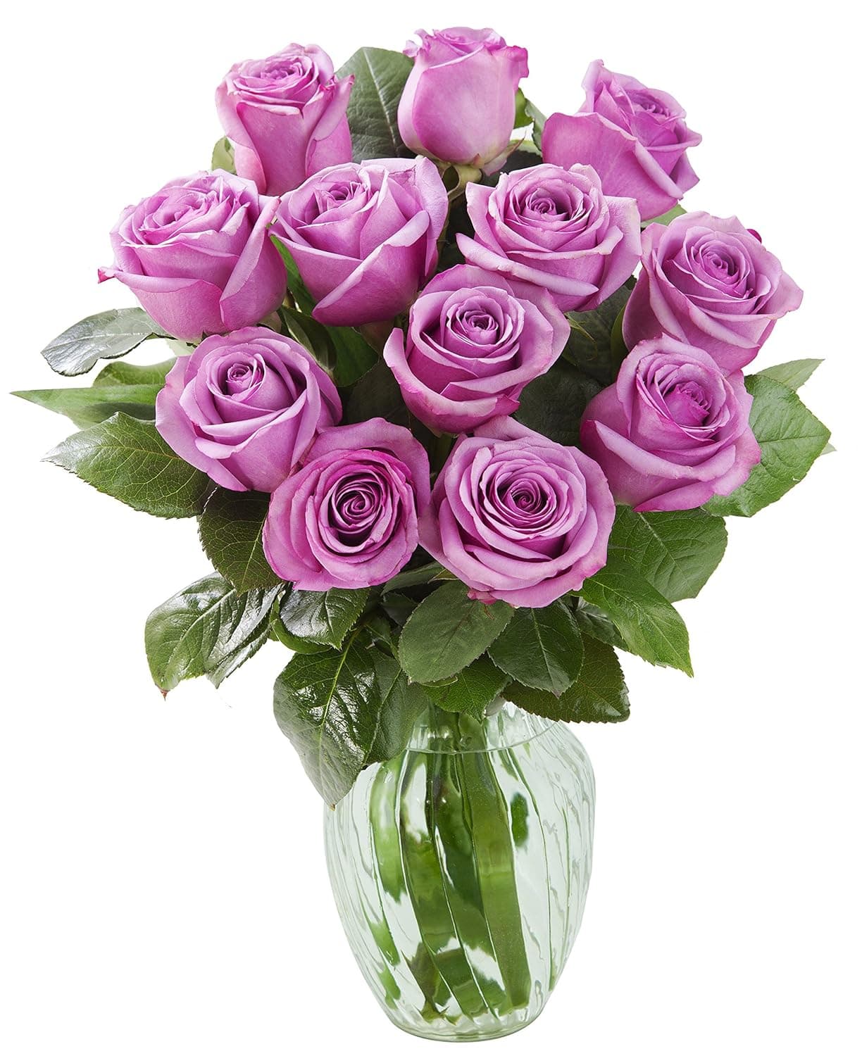 💜 Fresh Purple Roses Deal 🌹