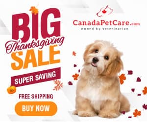 undefined discount coupons and deals