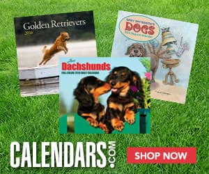 undefined discount coupons and deals