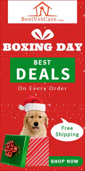 undefined discount coupons and deals