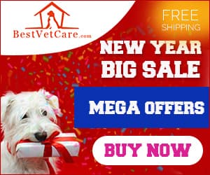 undefined discount coupons and deals