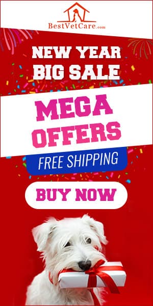 undefined discount coupons and deals