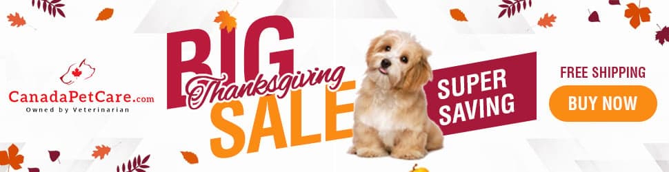 undefined discount coupons and deals