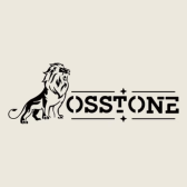 OSSTONE LLC