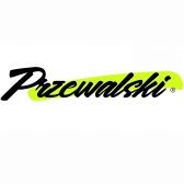 Przewalski Affiliate Program (US)